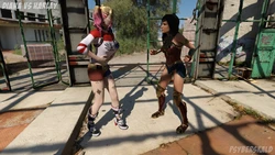 [Psyberskald] Diana Vs Harley