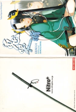 Kikokugai Original Art and Setting Materials