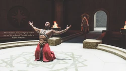 ArcanjoFel - The Champion (English)