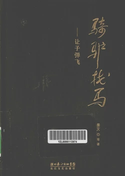 骑驴找马让子弹飞