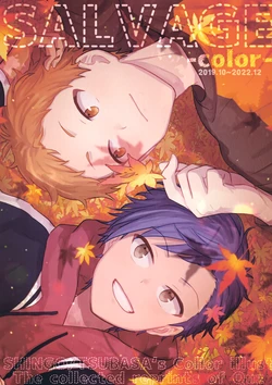 (Hoshi ni Negai o 3) [Brat (Nemuko)] SALVAGE -color- (Hoshiai no Sora)
