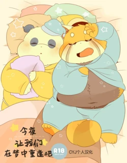(Kemoket 6) [Kokemomo (Hyaku)] Konya mo Yume de Aimashou |  今夜让我们在梦中重逢吧 [Chinese] [CYJ个人汉化]