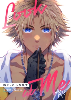 [Akuroshuka (Yuzuruha Imai)] Nee, Kocchi Mite (Final Fantasy X) [Digital]