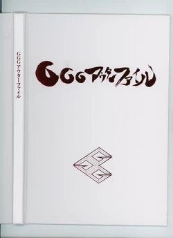 GGG Outer File