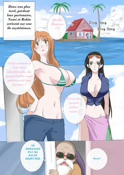 The Sexual Life Of The Turtle Hermit (One Piece, Dragon Ball) french