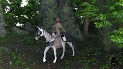 [MagicMaster] Elfmaid Warrior