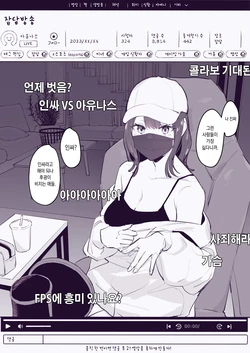 [Poriuretan] Streamer [Korean]