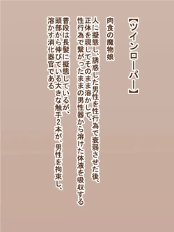 [Tanuki no Rakugaki] 100 Yen Mamono Musume Series "Twin Roper"