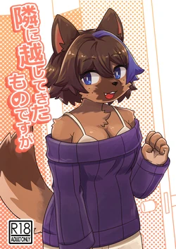 (Kemoket 13) [Teoruya-san (Teol)]  Tonari ni Koshitekita Mono desu ga