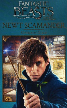 The Beasts- Cinematic Guide