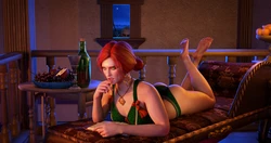 BLENDGUARDIAN - Triss and Letho (Textless)