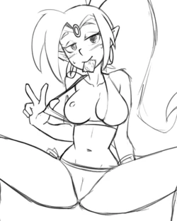 [Tobias Wheller] Shantae