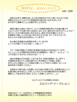 [Moonlight Diner] A story about masturbating after marrying into a virgin elf state with no libido