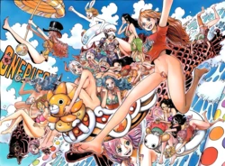 One piece 15