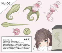 蟲研究レポート_No.06