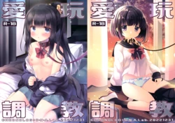 (C101) [D.N.A.Lab., CHRONOLOG (Miyasu Risa, Sakurazawa Izumi)] Aigan Choukyou
