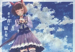 (Pretty Stakes 30R) [Sakuranbu (Sakura Yoru)] Sono Sora ni Todokanai | 无法触及那片青空  (Uma Musume Pretty Derby) [Chinese] [猫岛汉化组]
