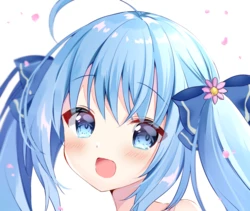 [pixiv] はみこ (id=221597)