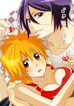 [Shouga Udon, Kareha (Tamago, Koudzuki Shinobu)] Gyaku Houteishiki (Bleach)