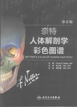 奈特人体解剖学彩色图谱 第6版