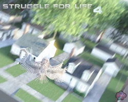Struggle For Life [Redoxa] - 4.1 - english