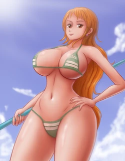 SAFARTWORKS Nami(One Piece)