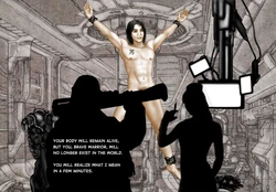 [STIXjp] Fate of a Soldier