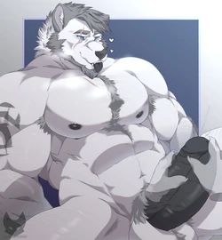 [Shiro] ChanceFurBear