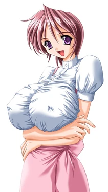 idenshinet shiragi (SMILE)