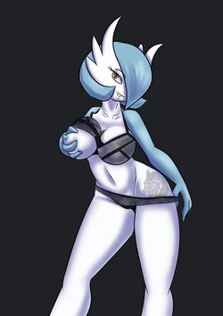 [Dyriuck Kaos] Mero's Boundry (Pokemon)