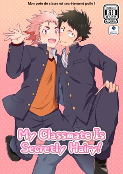 [Ohige Yashiki (Nishi Kimaru)] Secret Hairy | Mon pote de classe est secrètement poilu! [French] [Digital]
