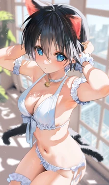 [Pixiv][Non-H]artwork collection