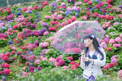 Bilibili - Sanka Rea