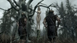 [Pamatronic] Morthal Execution - Schowcase