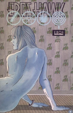 [Bovè] Eros Hawk IIII [English]