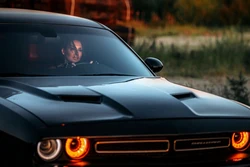 Ann Shakhovskaya - Panam Palmer