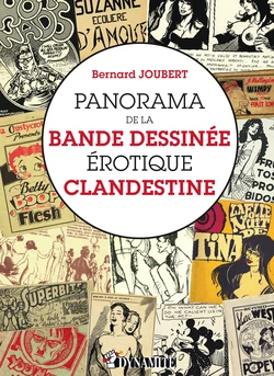 Panorama de la bande dessinee erotique clandestine