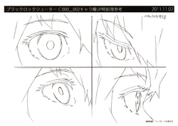 Black Rock Shooter Settei