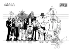 One Piece Season 10 Settei