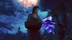 [pwishy2] Astrid Adventures - Entralled