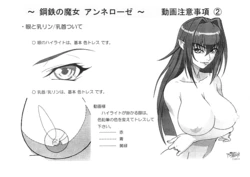 Koutetsu no Majo Annerose Settei