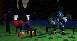 [DarkBeasthog] Sonuckles Unleashed 2