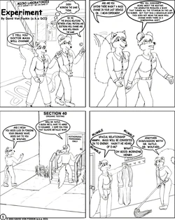 Experiment [DCI]