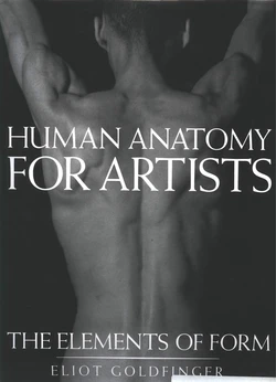 Human Anatomy for Artists_ The Elements of Form