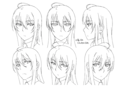 Witch Craft Works Settei