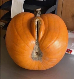 Ahsoka Was A Bad Show