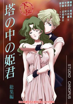 [Studio Canopus (Mario Yamada)] Princess in the Tower Omnibus (Bishoujo Senshi Sailor Moon)  [Chinese] [大友同好会]