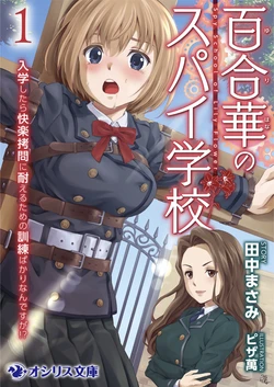 Novel lllustrations by Pizza Yorozu