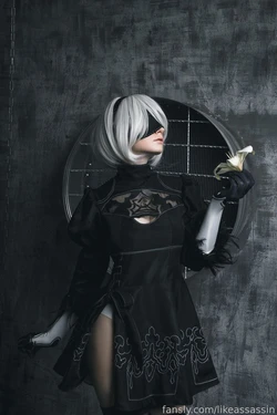 Likeassassin - 2B