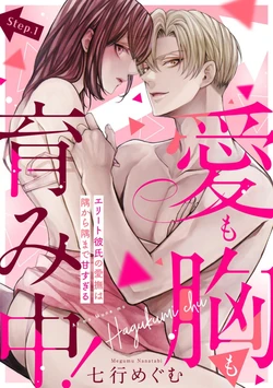 [Nanatabi Megumu] Ai mo Mune mo Hagukumi-chuu! Elite Kareshi no Aibu wa Sumi Kara Sumi Made Amasugiru (Bunsatsu-ban) 1